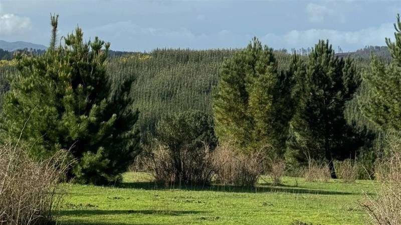HERMOSAS PARCELAS A MINUTOS DE CONCEPCIÓN EN FLORIDA 5000M2 - Imagen 5