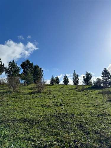 HERMOSAS PARCELAS A MINUTOS DE CONCEPCIÓN EN FLORIDA 5000M2 - Imagen 7
