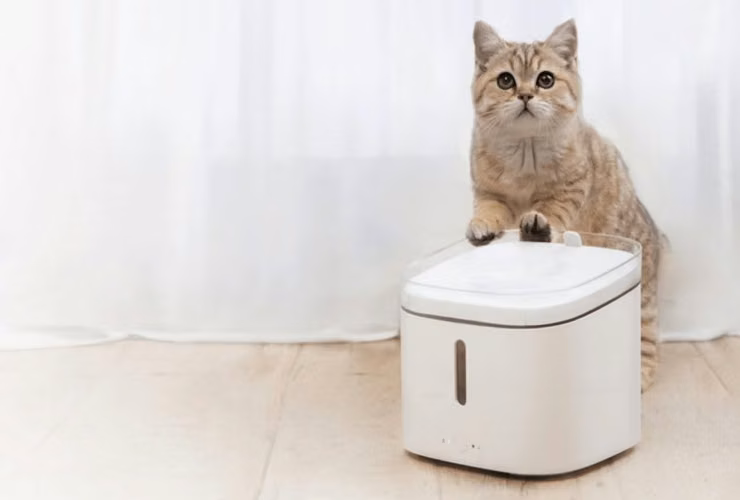 servicio tecnico para comederos y bebederos para gatos, perros