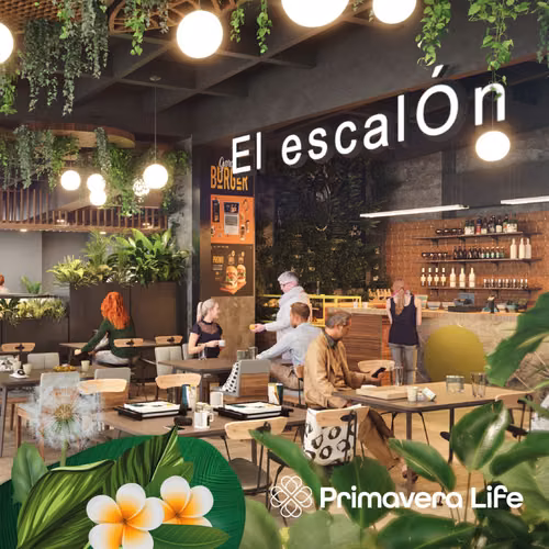 Renta de locales Gastronómicos en exclusiva zona de Armenia