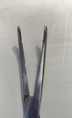 Pinza Pean Rochester