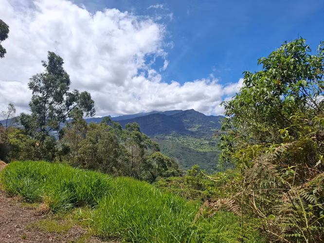 Venta de Terreno / Lote Rural, Choachi, Sector del Refugio