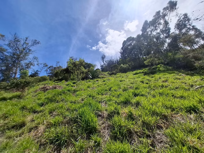 Venta de Terreno / Lote Rural, Choachi, Sector del Refugio