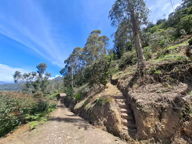 Venta de Terreno / Lote Rural, Choachi, Sector del Refugio