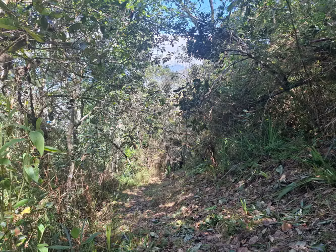 Venta de Terreno / Lote Rural, Choachi, Sector del Refugio