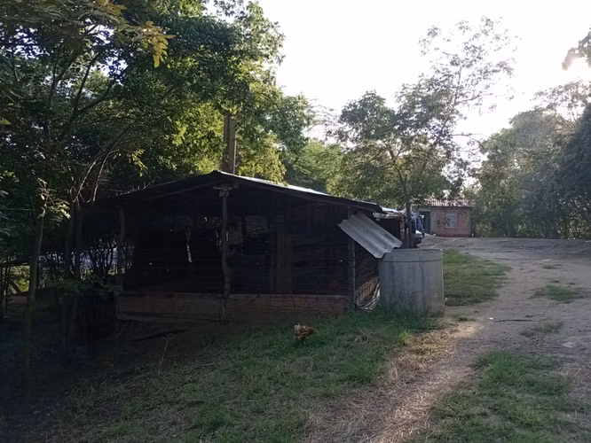 Cuidadores Rurales de Finca y Galpones