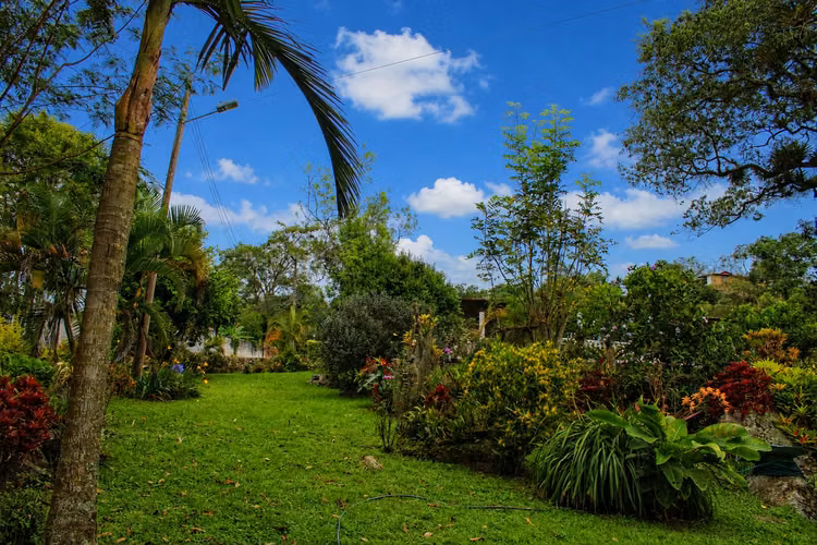 LA VERÓNICA | Finca Campestre con Alto Potencial Patrimonial a 2 Horas de Bogotá - Imagen 4