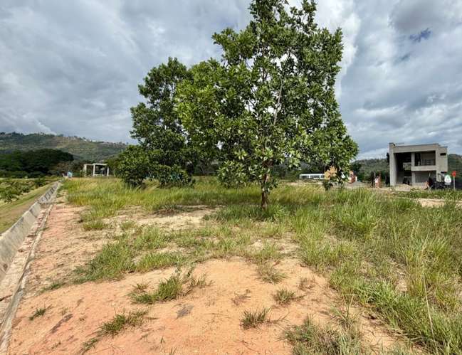 Lote campestre