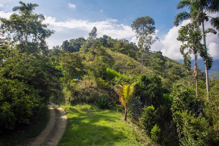 SE VENDE FINCA CAFETERA EN PIJAO QUINDIO