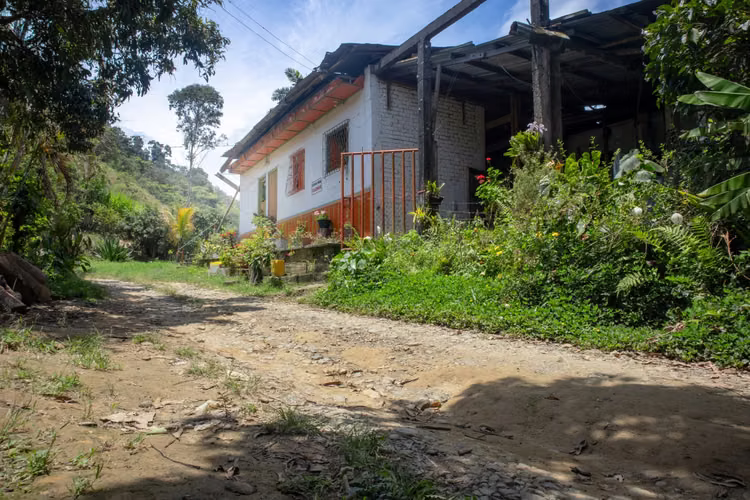 SE VENDE FINCA CAFETERA EN PIJAO QUINDIO