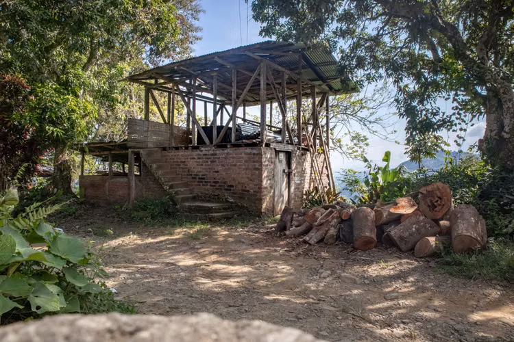 SE VENDE FINCA CAFETERA EN PIJAO QUINDIO