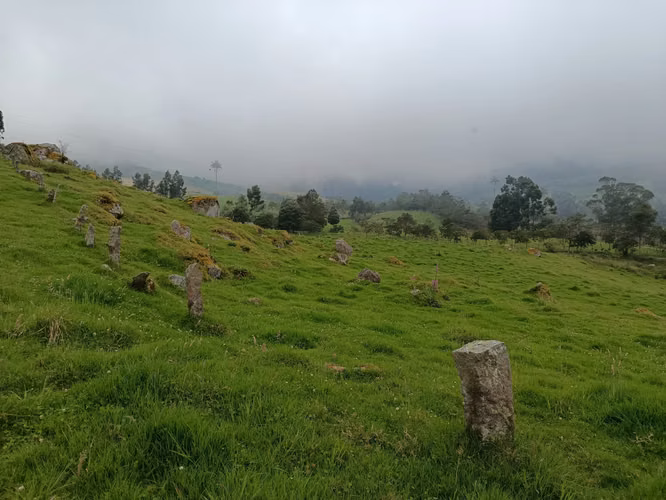 Venta de Hermosa Finca ( El Placer )