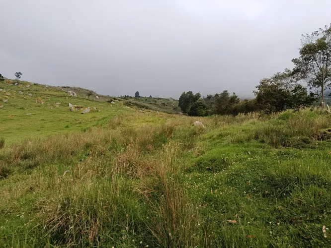 Venta de Hermosa Finca ( El Placer )