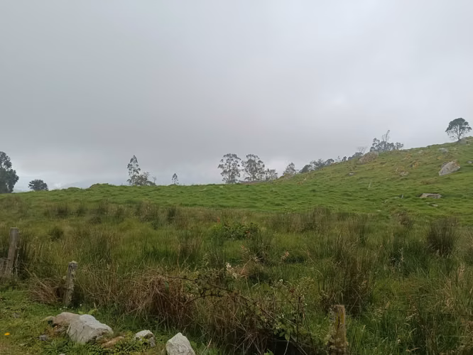 Venta de Hermosa Finca ( El Placer )