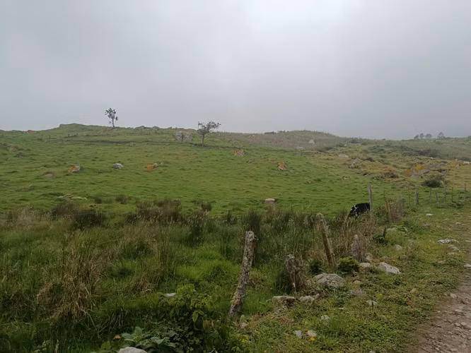 Venta de Hermosa Finca ( El Placer )