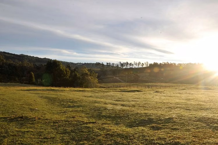 Prime Investment Land for Sale in Las Palmas, Medellín - 124; Exclusive Location & Nature