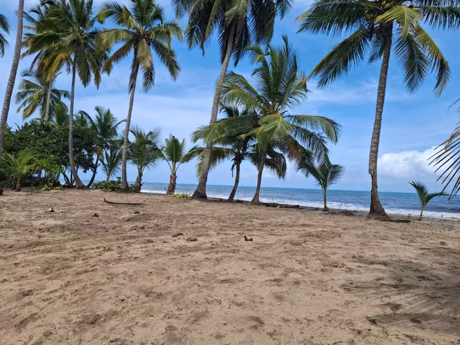 Vendo terrenos en palomino 
