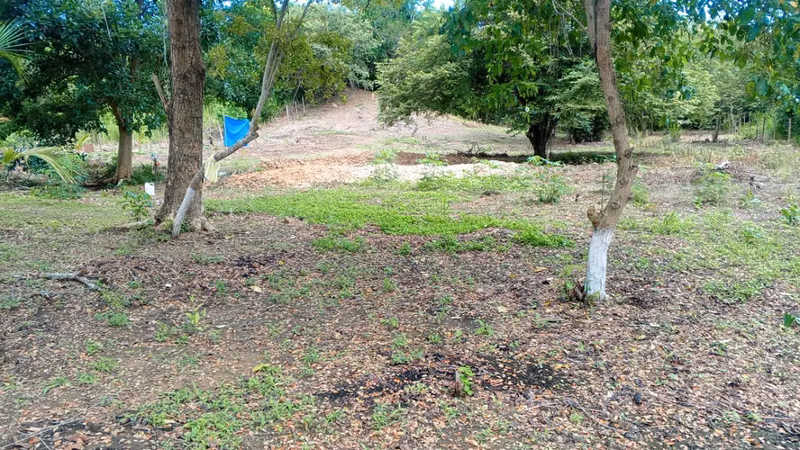 Vendo terrenos en palomino 