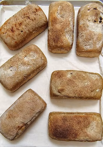 Pan Masa madre y fermentos  Nutrición Alimentos fermentados para tu salud.