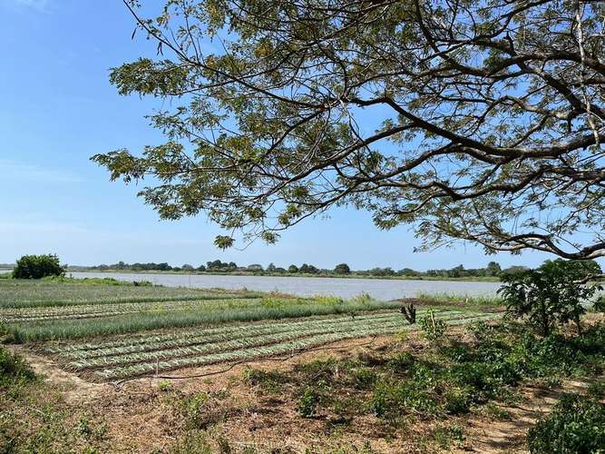 - 10km from ZONA FRANCA AND PORTUARIA OF BARRANQUILLA