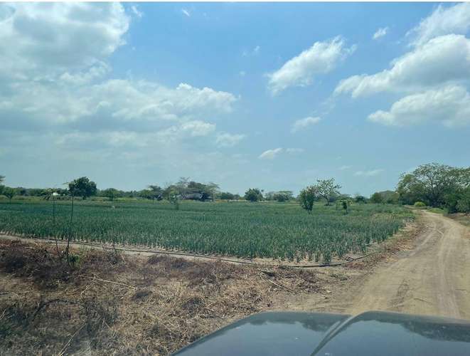PREDIO RURAL CON POTENCIAL PORTUARIO Y LOGISTICO - A 10km DE ZONA FRANCA Y PORTUARIA DE BARRANQUILLA