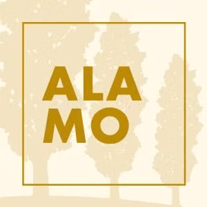 ARRIENDO APARTAMENTO EN USAQUEN CJR ALAMO - Imagen 9