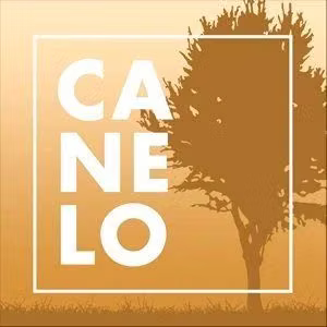 SE ARRIENDA APTO LAGOS DE TORCA USAQUEN CJR CANELO - Imagen 8
