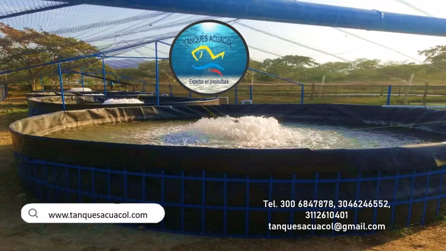 PISCICULTURA BAJO INVERNADERO EN GEOMEMBRANA