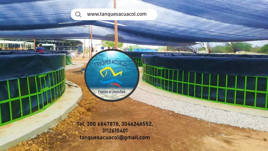 PROYECTOS PISCICOLAS