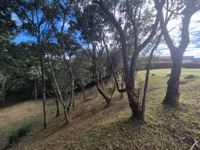 Lote en Venta Palmas Envigado / 100%  - Imagen 4