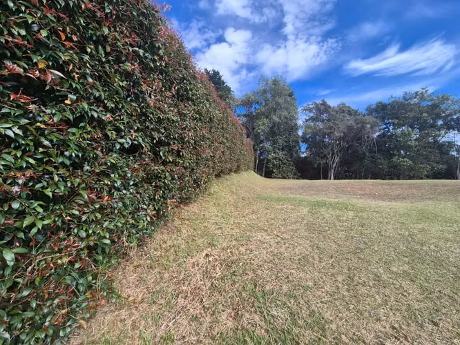 Lote en Venta Palmas Envigado / 100%  - Imagen 2