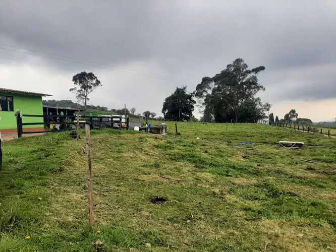 Excelente finca a 12 kms de tabio por via destapada en buen estado - Imagen 4