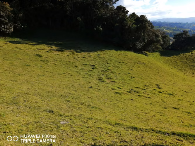 Excelente finca a 12 kms de tabio por via destapada en buen estado - Imagen 12