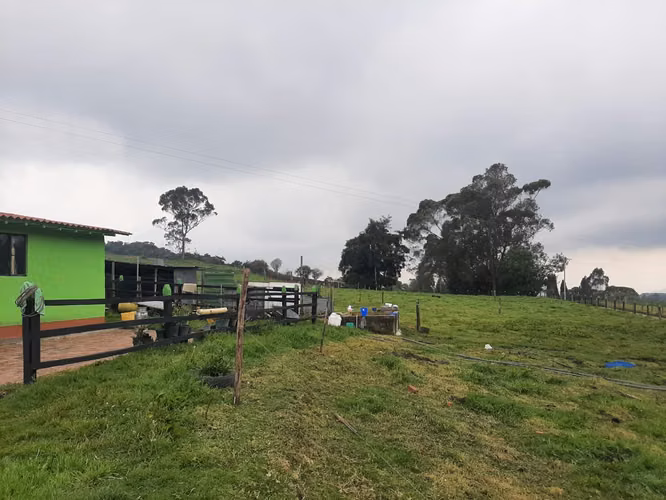 Excelente finca a 12 kms de tabio por via destapada en buen estado - Imagen 8