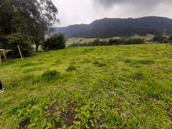 Excelente finca a 12 kms de tabio por via destapada en buen estado - Imagen 5