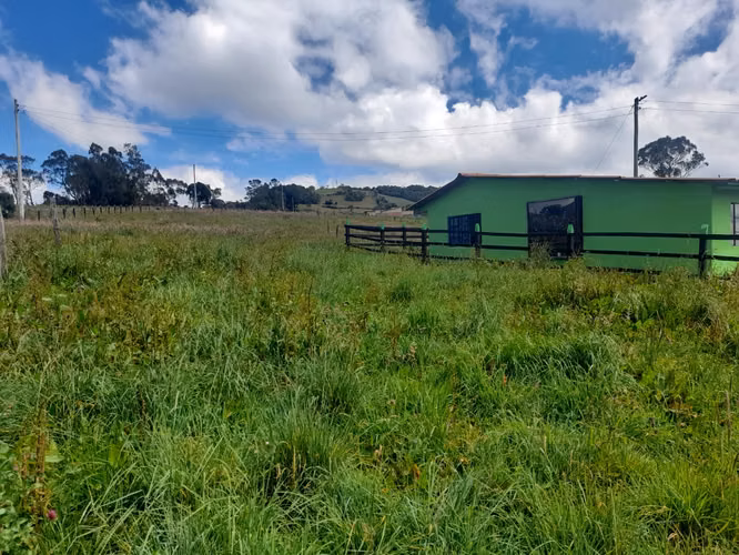Excelente finca a 12 kms de tabio por via destapada en buen estado - Imagen 14