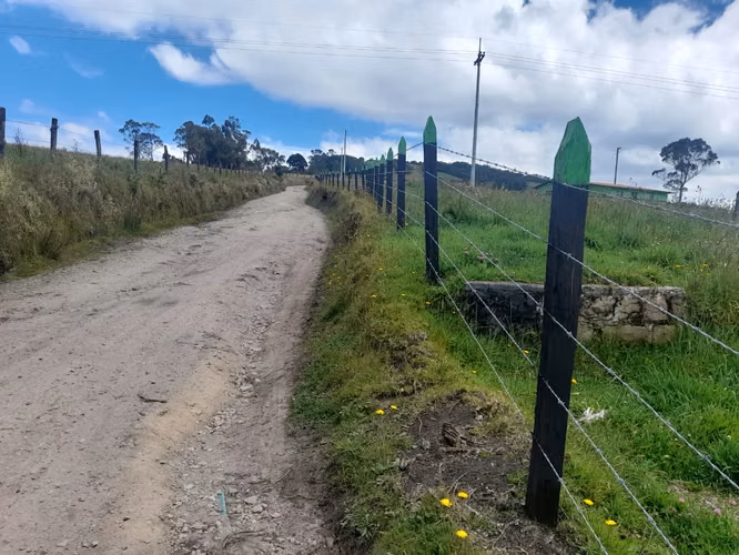 Excelente finca a 12 kms de tabio por via destapada en buen estado - Imagen 15