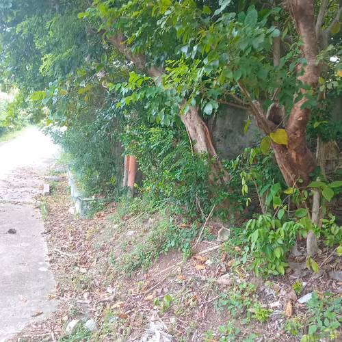Excelente lote san andres islas peper hill parte alta 