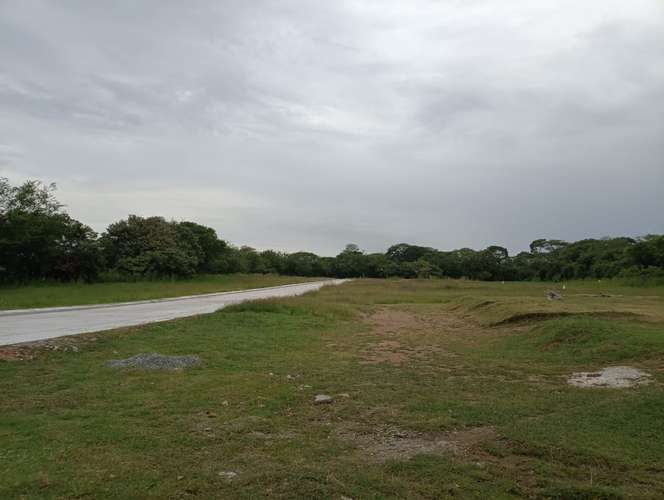 SE VENDE LOTE AGROINDUSTRIAL IBAGUE