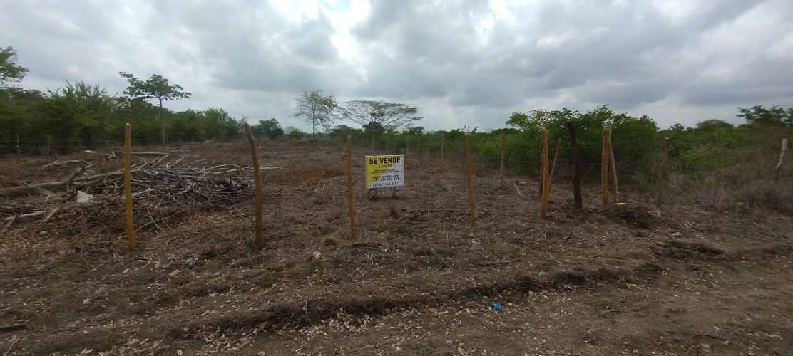 ¡Oportunidad Zona Norte!  Lote de  m² en Manzanillo (Cerca Colegio Británico) – Cartagena.