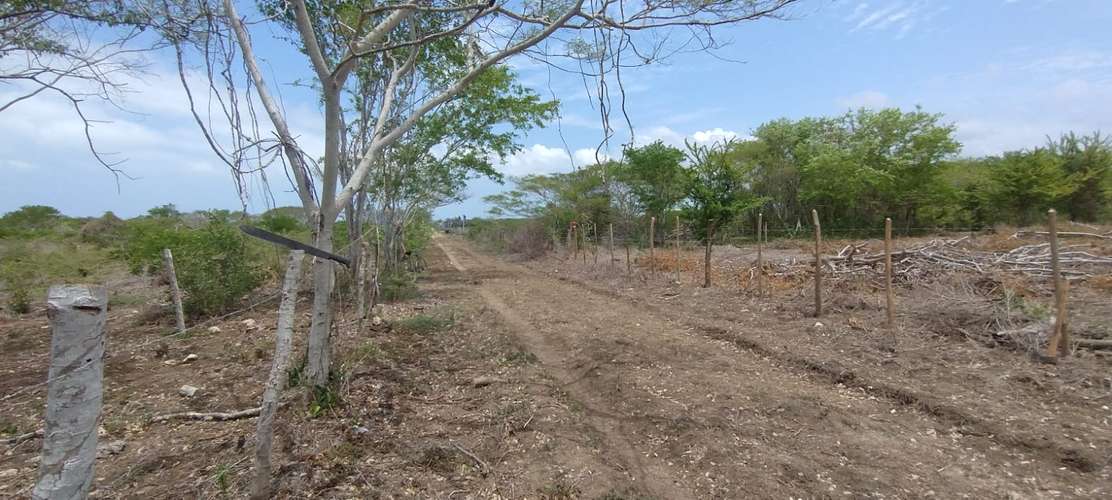 ¡Oportunidad Zona Norte!  Lote de  m² en Manzanillo (Cerca Colegio Británico) – Cartagena.