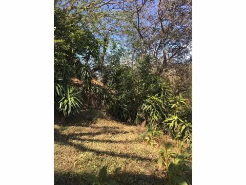 LOTE EN VENTA EN EL ALTO DE LAS PALOMAS - Imagen 7