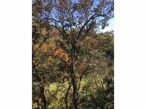 LOTE EN VENTA EN EL ALTO DE LAS PALOMAS - Imagen 6