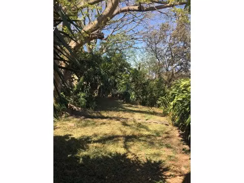LOTE EN VENTA EN EL ALTO DE LAS PALOMAS - Imagen 4