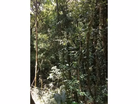 FINCA EN VENTA A 15 MINUTOS DE MONTE VERDE