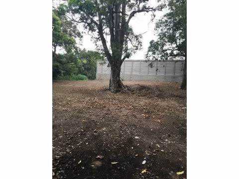 LOTE EN VENTA EN SANTA ANA - Imagen 3