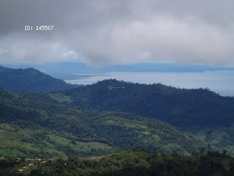 VENTA DE FINCA EN SAN ISIDRO DEL GENERAL EN PEREZ ZELEDON - Imagen 12