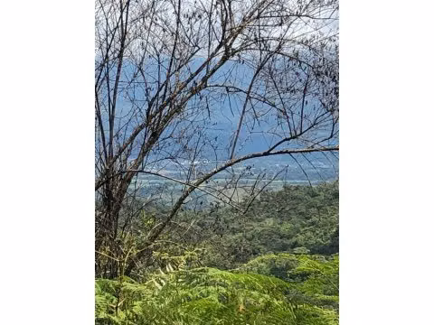 VENTA DE FINCA EN SAN ISIDRO DEL GENERAL EN PEREZ ZELEDON - Imagen 11