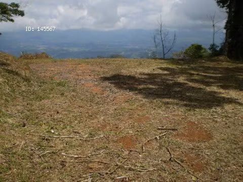 VENTA DE FINCA EN SAN ISIDRO DEL GENERAL EN PEREZ ZELEDON - Imagen 13