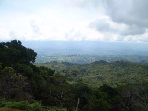 VENTA DE FINCA EN SAN ISIDRO DEL GENERAL EN PEREZ ZELEDON - Imagen 9